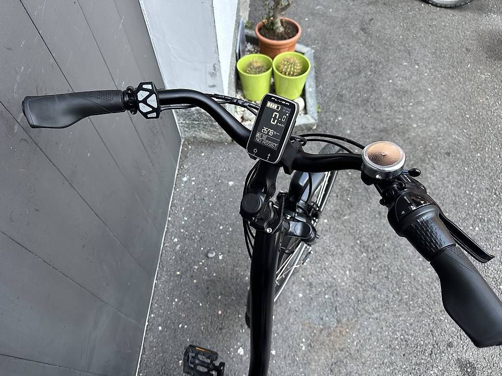 Biciclette: E-bike Flyer da donna 36v nera  – Usato da Quartino venduto da DiloUsato 5