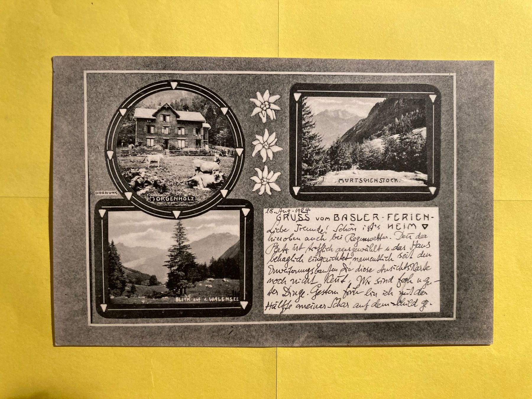 Cartoline postali: AK  Alp  Morgenholz,  29.VIII.24 – Nuovo (secondo la descrizione) da Grabs venduto da paggi01
