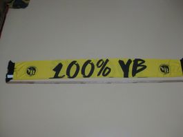 Fussball Schaal YB Young Boys / Noch Neu nicht gebraucht