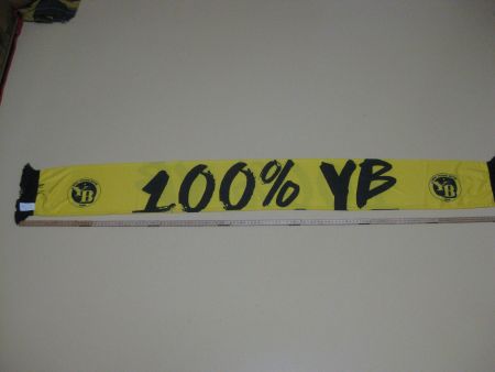 Fussball Schaal YB Young Boys / Noch Neu nicht gebraucht