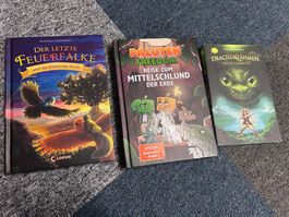 3 Kinderbücher: der letzte Feuerfalken-Paluten-Drachenzähmen