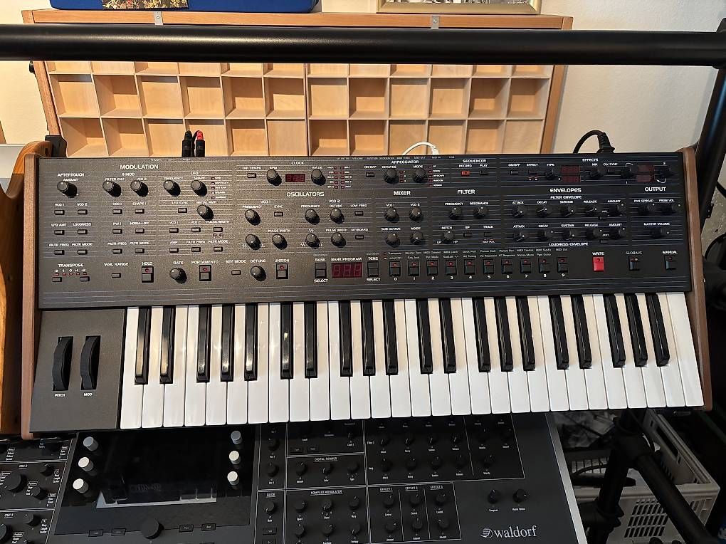Sequential Strumenti musicali: Sequential OB-6 Synthesizer mit Decksaver – Usato da Winterthur venduto da Unmooglich 1