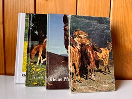 Sammlung Kleine Pferdegeschichten