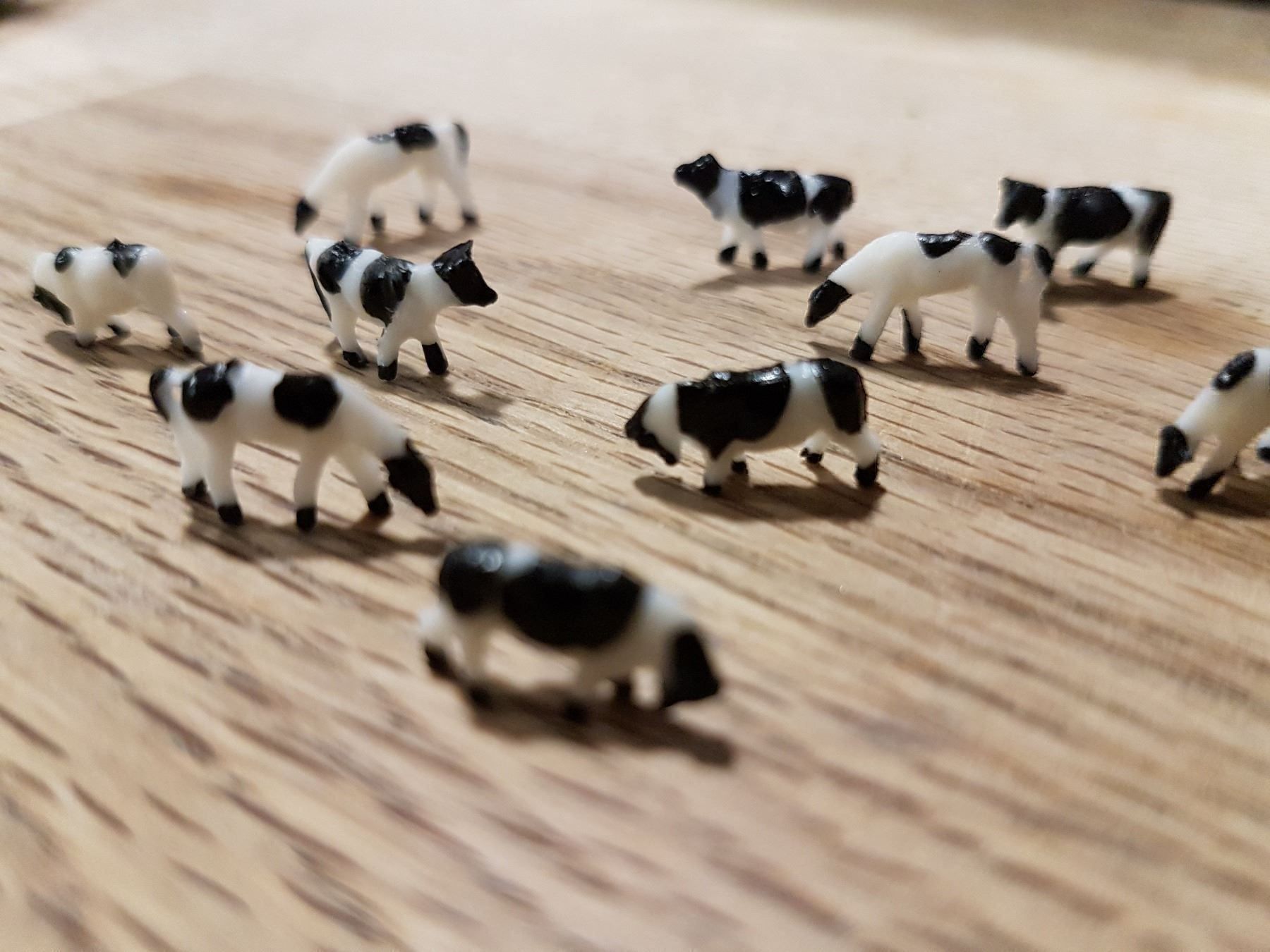 Kit di modellismo & Modellini statici: Lot de 10 jolies vaches – Nuovo e nell'imballaggio originale da Saxon venduto da Sebdem