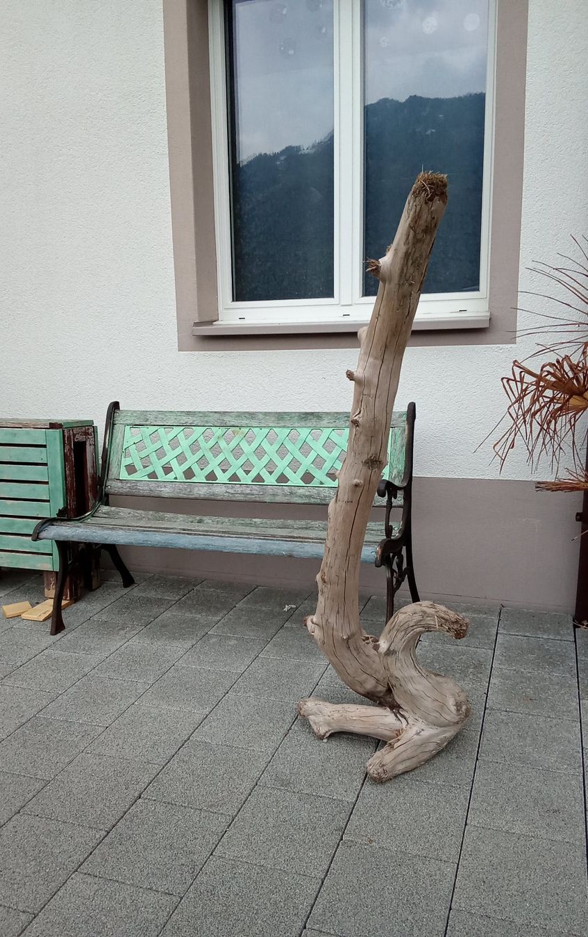 Holzartikel: Deko Holz, Schwemmholz – Gebraucht aus Mollis von gar_wqz5 2