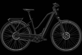NEU E-BIKE FLYER 25KM/H | RIEMEN ANTRIEB 750WH PANASONIC