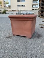 Blumentopf Terrakotta Lornetto sehr Guter Zustand