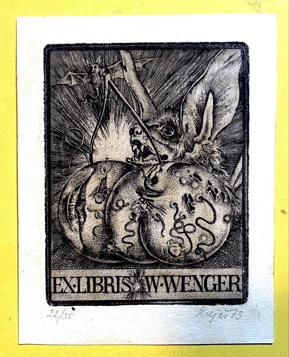 Incisioni: Exlibris W.Wenger, Stich, nummeriert, signiert, 22/35 – Nuovo e nell'imballaggio originale da Zuerich venduto da SonderArt-Wertgut
