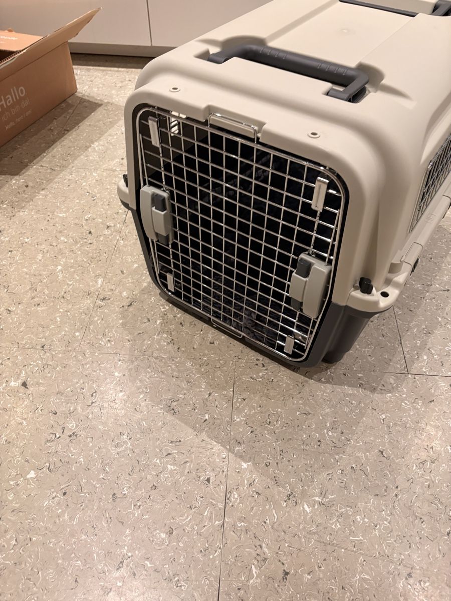 Gabbie, trasporto & Sicurezza: Hunde Transportbox – Nuovo (secondo la descrizione) da Dübendorf venduto da Cheekie 1