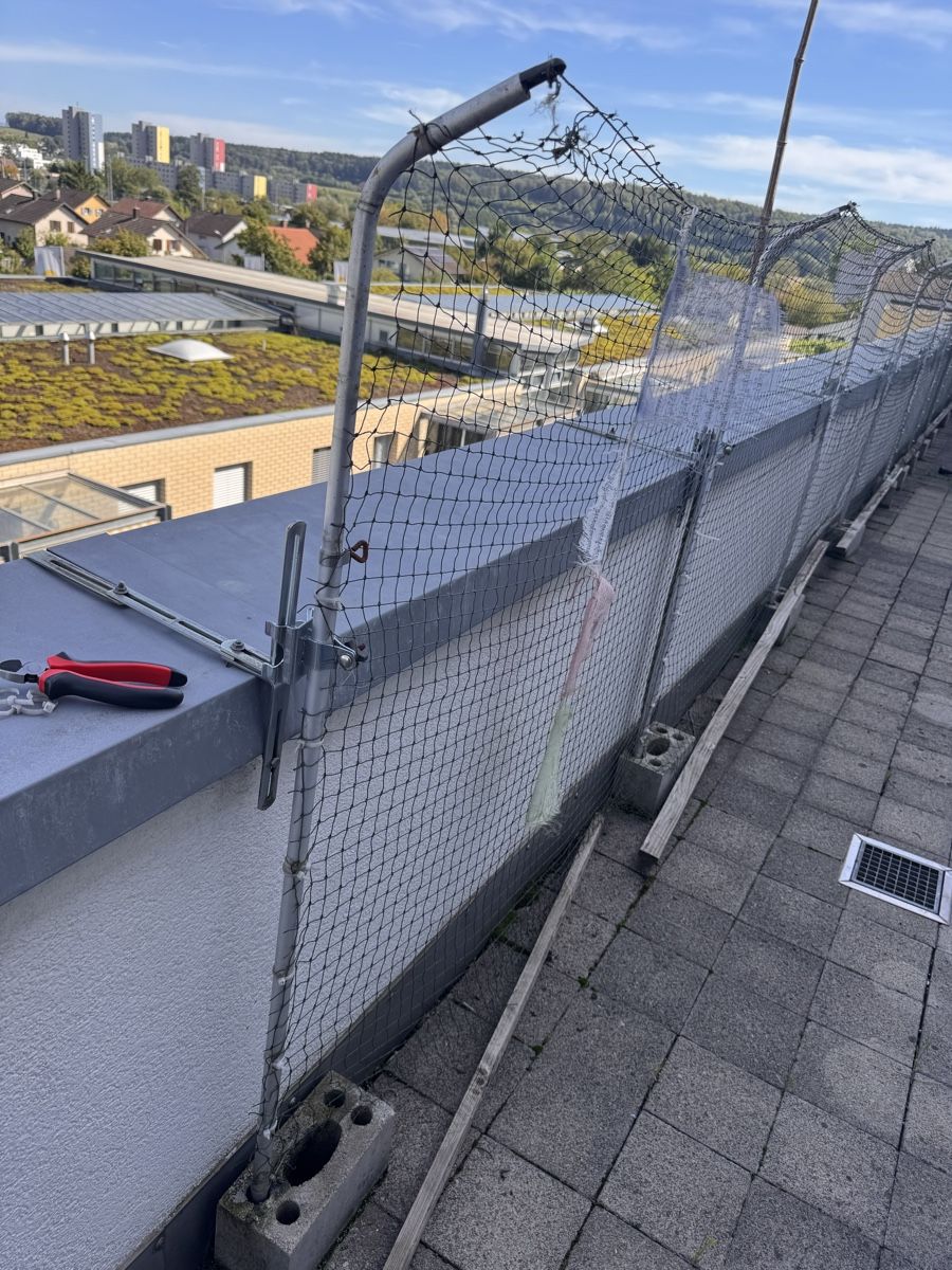 Altro: Balkongitter – Usato da Solothurn venduto da Mira24