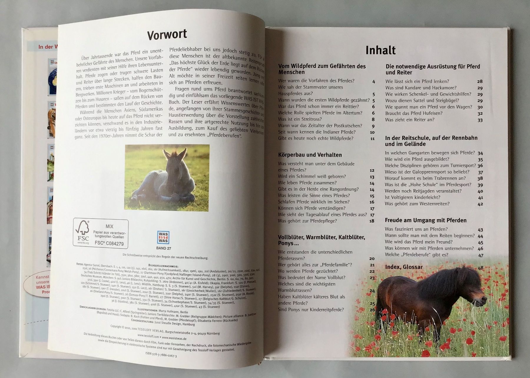 Bücher: was ist was - PFERDE – Gebraucht aus Bubendorf von Alpenheidi 3