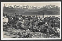 Zug Gesamtansicht mit Alpen