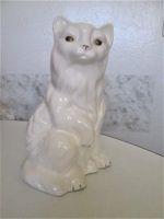 Katze