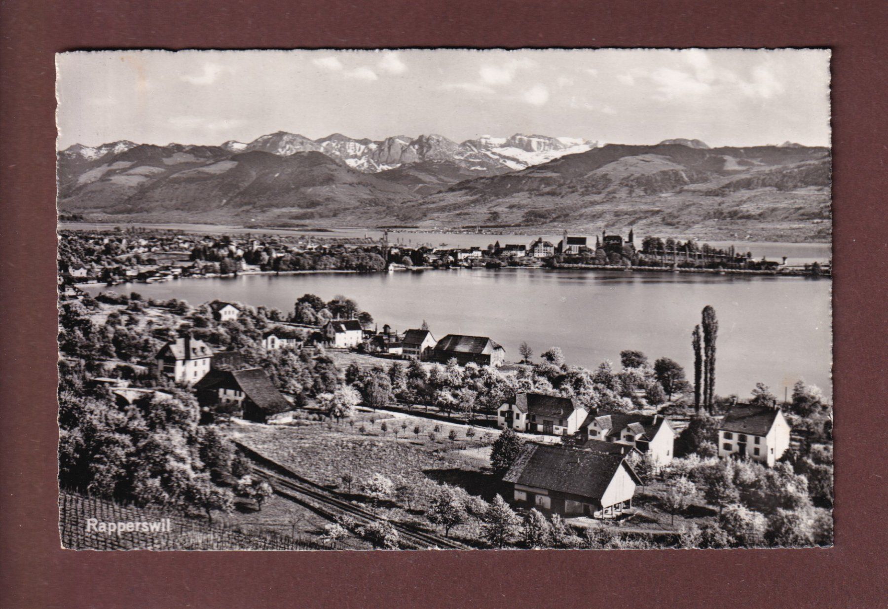 Cartes postales: RAPPERSWIL - 1952 – D'occasion à Pully par nicecards-shop