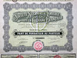 Société Sucrèrie & Agricole de la Guyane Française - 1931