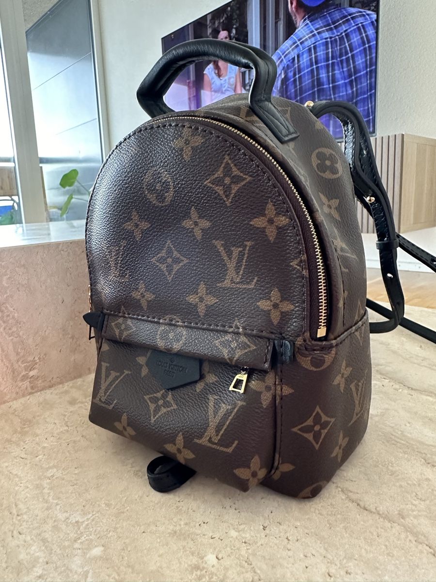 Louis Vuitton Taschen für Damen: Louis Vuitton Tasche Palm Springs Mini – Neu (gemäss Beschreibung) aus Pratteln von S.alp1 2