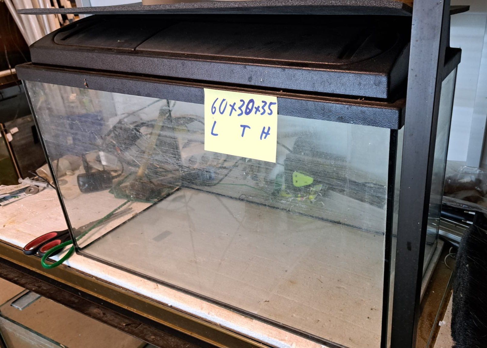 Aquarium: Aquarium – Gebraucht aus Oberentfelden von Myri13
