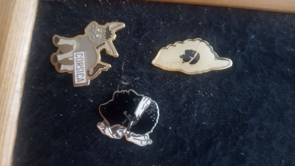 Plaketten & Abzeichen: 3er Set Vintage Anstecknadeln Pins - Corsica, Blume, Tier – Gebraucht aus Belp von Guadalupe84 1