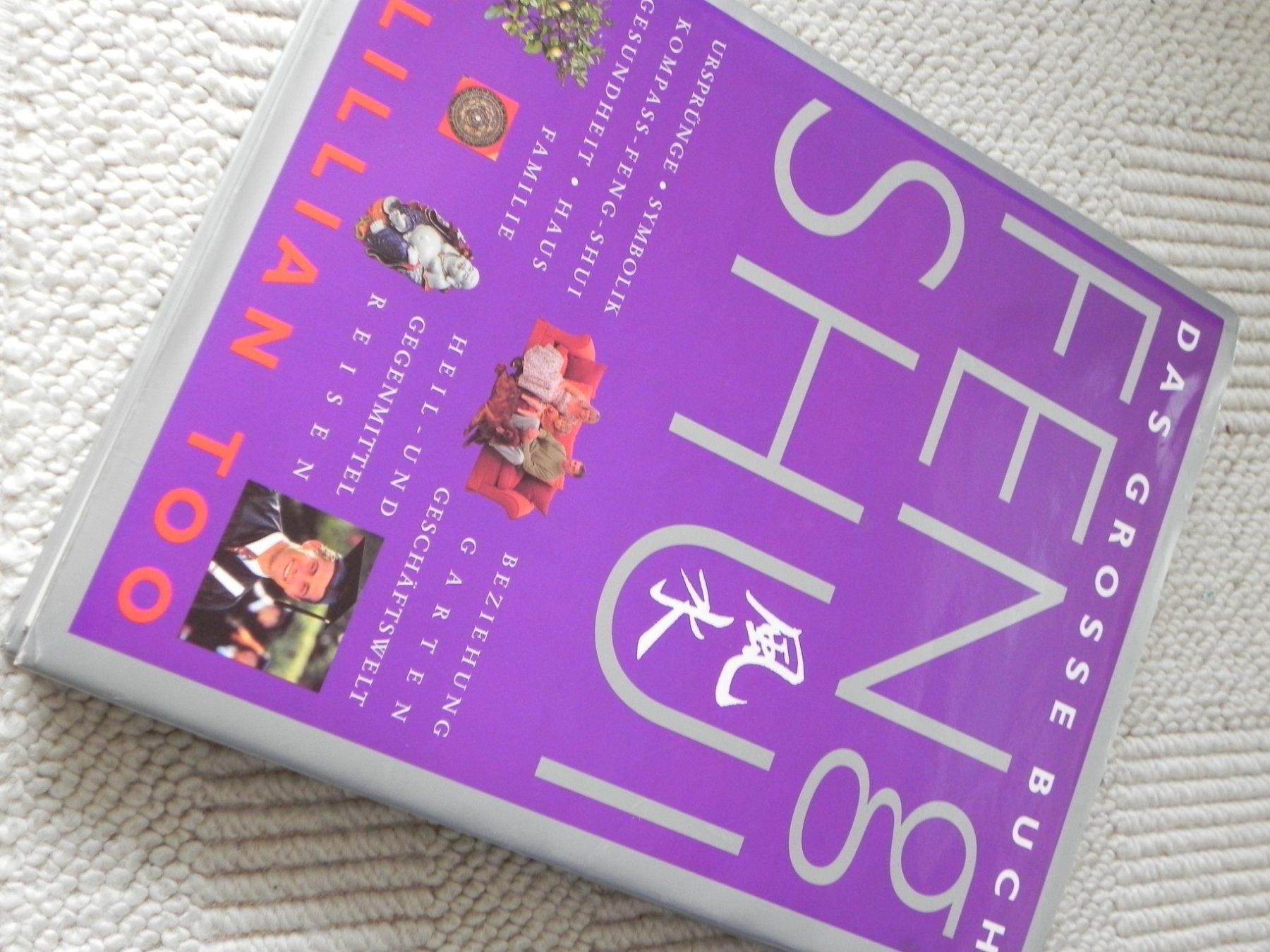 Libri: Feng Shui - Das grosse Buch von Lillian Too – Usato da Stallikon venduto da pcerny16 2