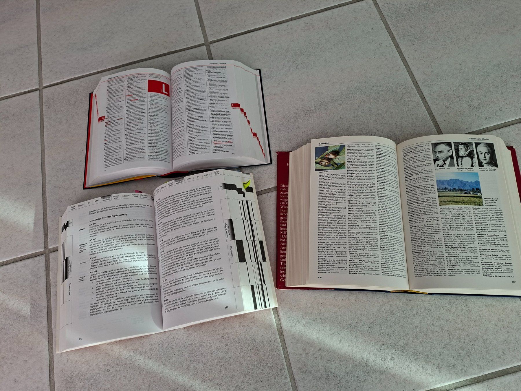Libri: 3 Bücher – Usato da Schwarzenbach SG venduto da mel_s6jj 1