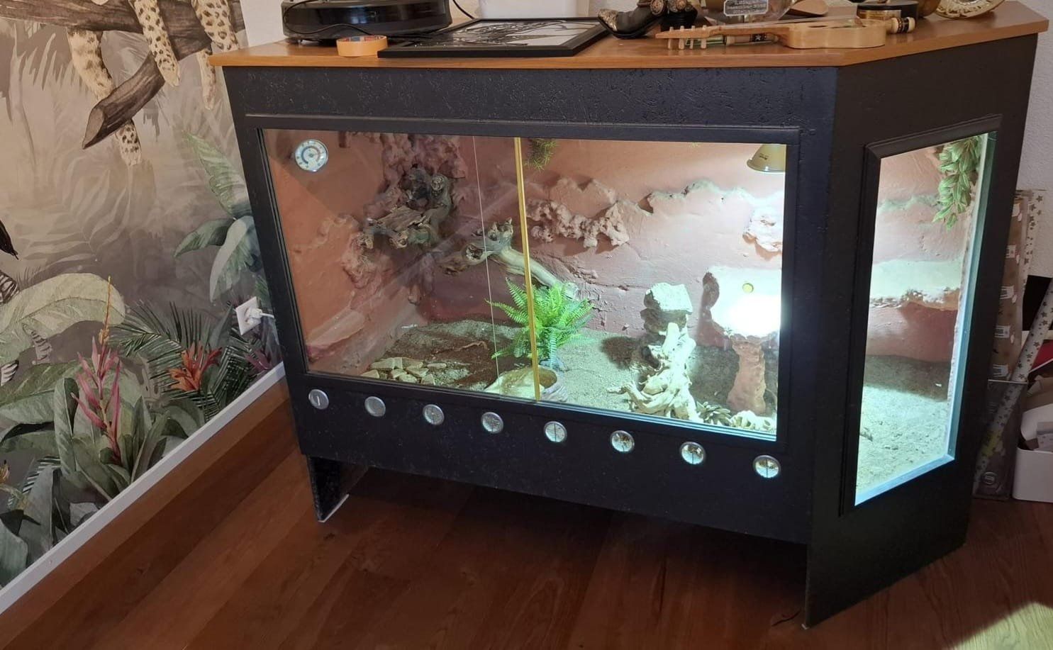 Terrarium: Terrarium – Gebraucht aus Biembach von bourner123 1