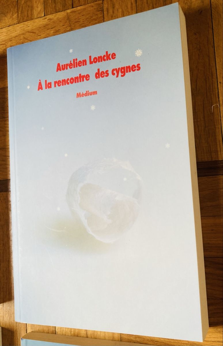 Bücher: 4 romans jeunesse jeunes ados – Neu und originalverpackt aus Ardon von hel_2sxp 2