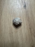 Wunderschöne Gipsrose/Sandrose