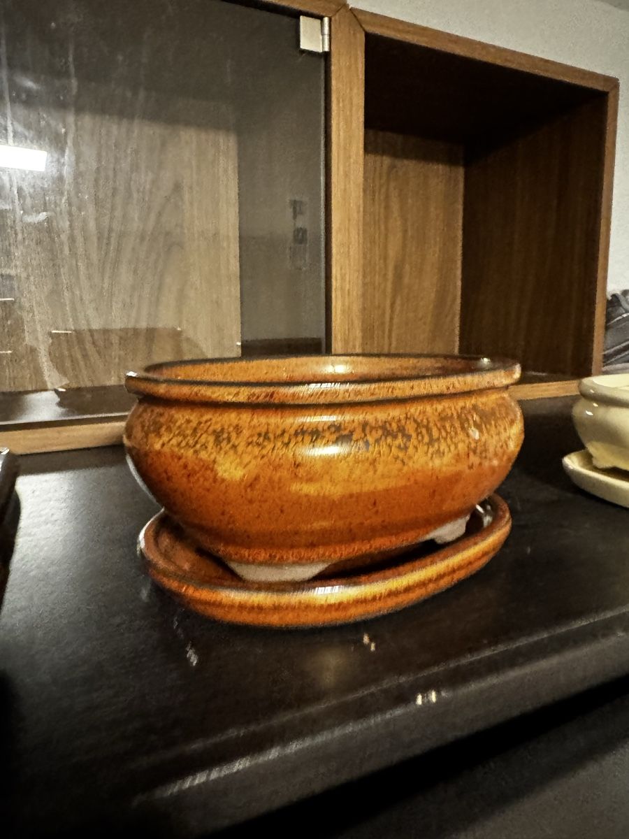 Pots de fleurs: Bonsaischalen Set mit bunt – D'occasion à Riken AG par Herakles.18 6