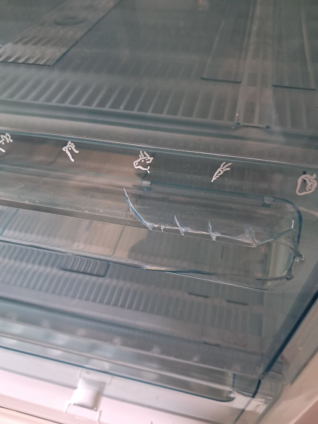 Electrolux Congelatori: Gefrierschrank Electrolux EU7119C mit 6 Schubladen – Usato da Glarus venduto da mikatante 2