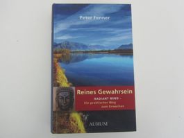 Reines Gewahrsein. Radiant Mind. Peter Fenner