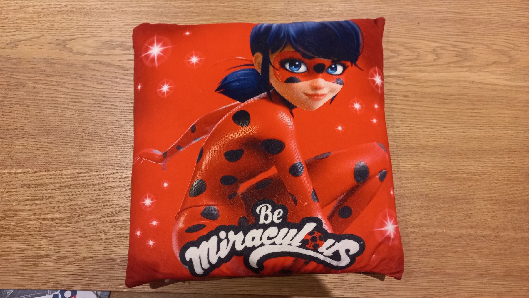Cuscini: Ladybug Marienkäfer Kissen – Usato da Leukerbad venduto da vwgolf01
