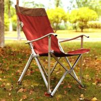 Chaise de Jardin Pliante en Aluminium haute qualité