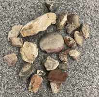 Konvolut verschiedene Steine Natursteine Dekoration Sammelob