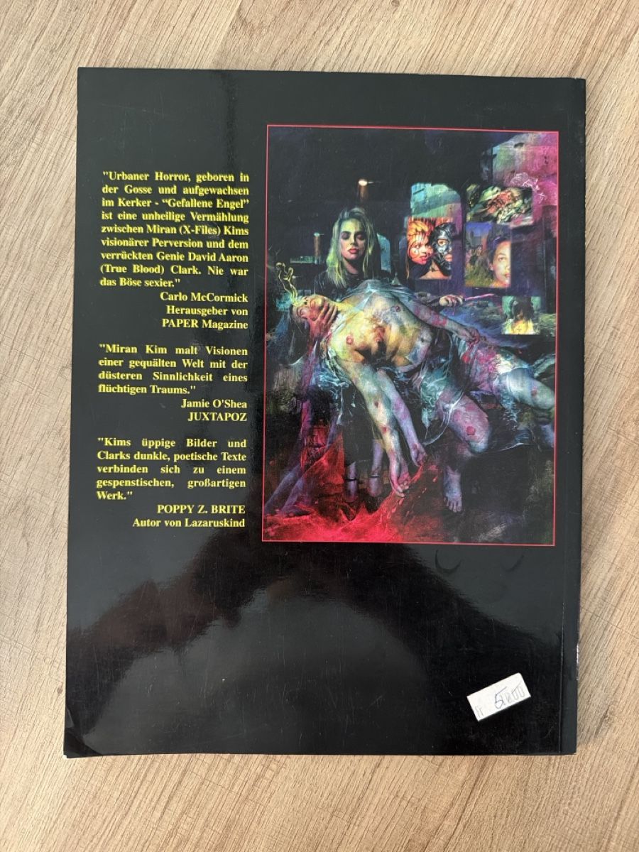 Fumetti: Gefallene Engel Band 1 Comic – Usato da Hagendorn venduto da masterchieff 1