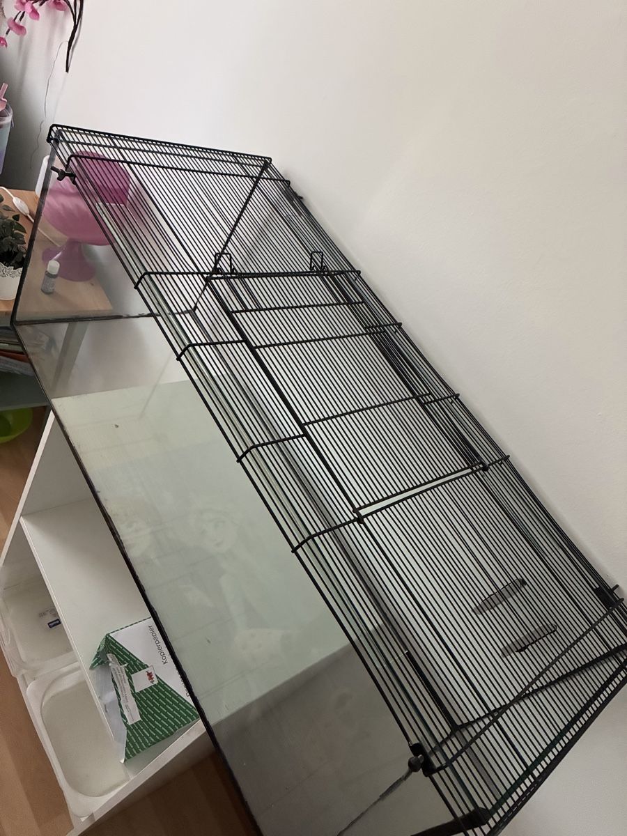 Cages, transport & sécurité: Mäusekäfig – D'occasion à Ittigen par Sam_Spada87 3