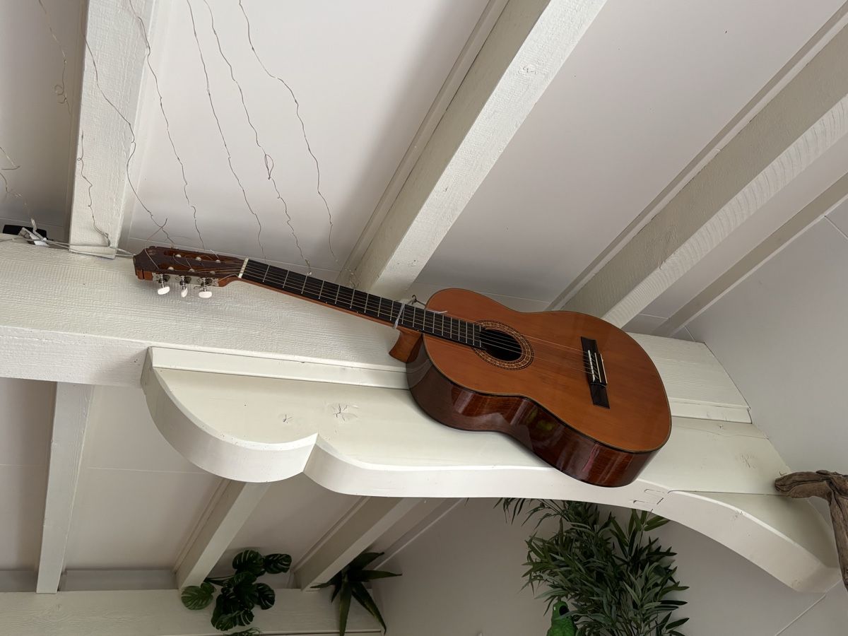 Tutte le decorazioni: Deko-Gitarre – Usato da Eriz venduto da Axolotl13