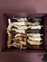 Schleich Pferde (auch einzeln erhältlich)