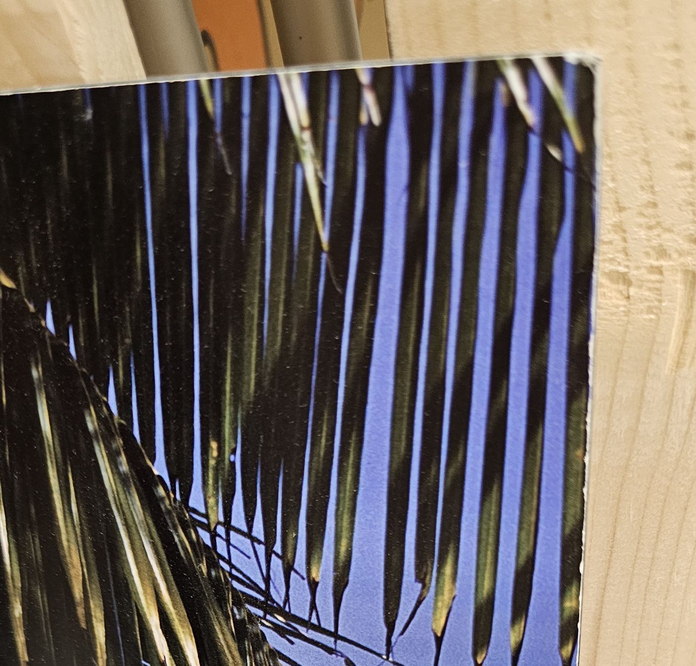 Foto & Immagini: Wandbild mit Hängematte! – Usato da Zürich venduto da pri_9hkk 1