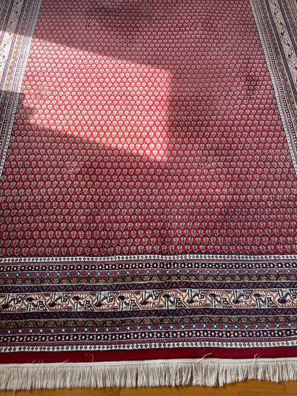 Tappeti: Teppich Indo Mir, 232x300cm, neuwertig – Usato da Luzern venduto da jan_88vd