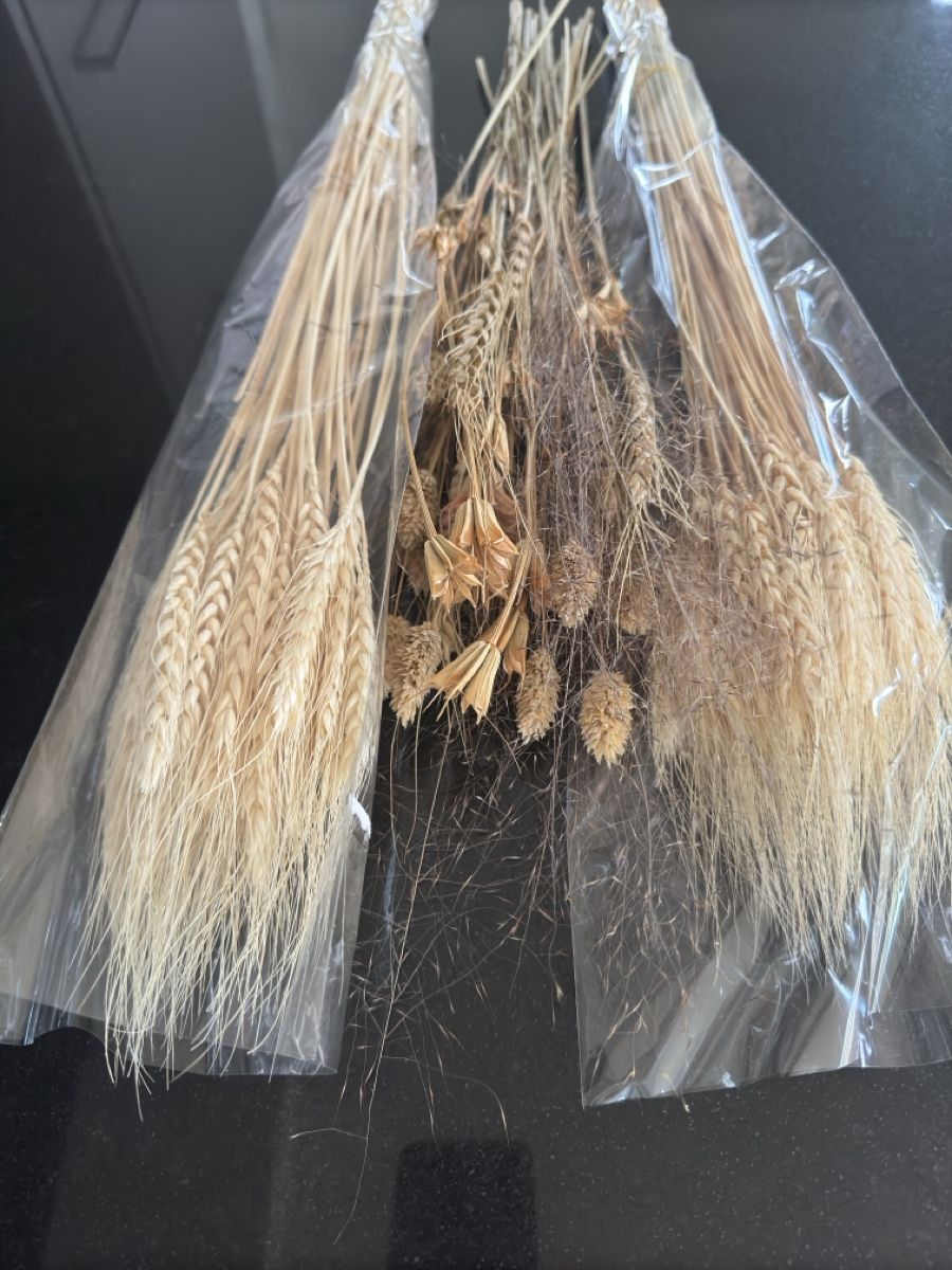 Tutte le decorazioni: Div. Trockenblumen – Nuovo (secondo la descrizione) da Frauenfeld venduto da reb_sy9k