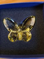 Swarovski Figur Jonquil Schmetterling gelb Originalverpackt