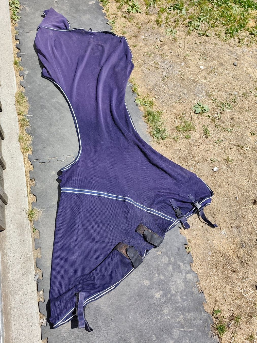 Coperte: Fliegenausreitdecke – Usato da Grub SG venduto da isa_92y7