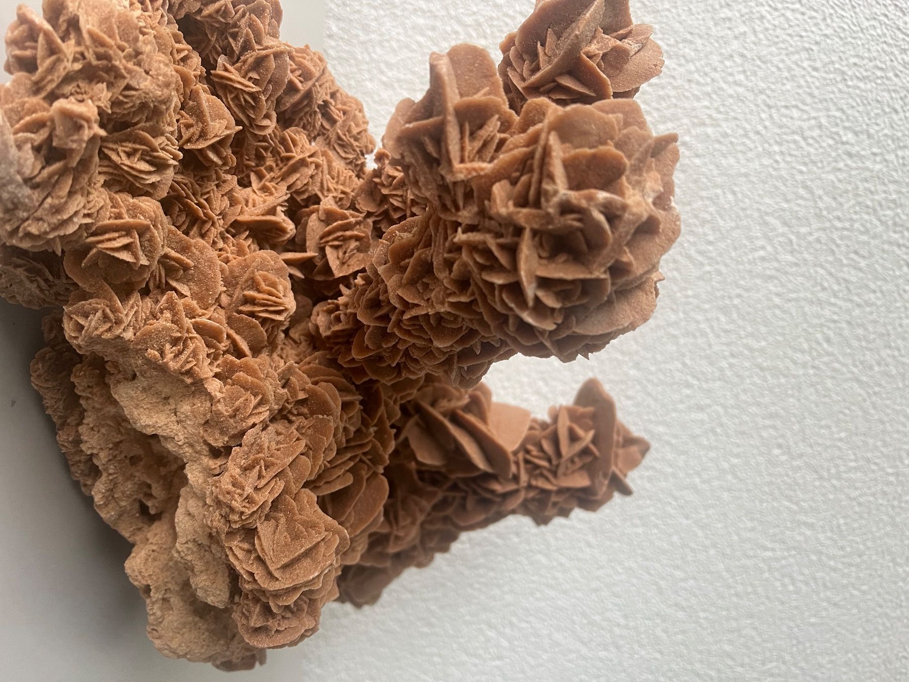 Minéraux & Lithothérapie: Sandrose – Neuf avec emballage d'origine à Wohlen AG par jan_v7tf 1