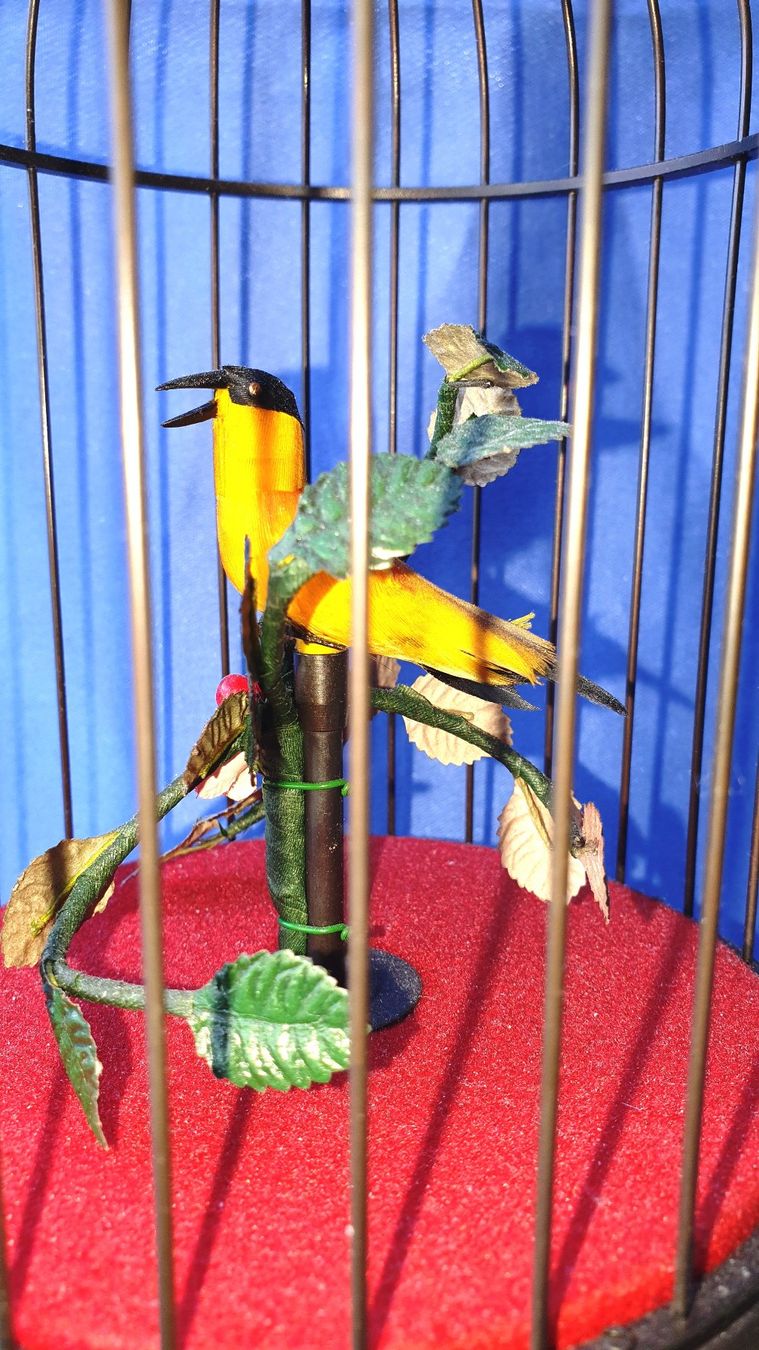 Carillon: OISEAU CHANTEUR / SINGVOGELAUTOMAT – Nuovo (secondo la descrizione) da Nyon venduto da Ornitorynx 3