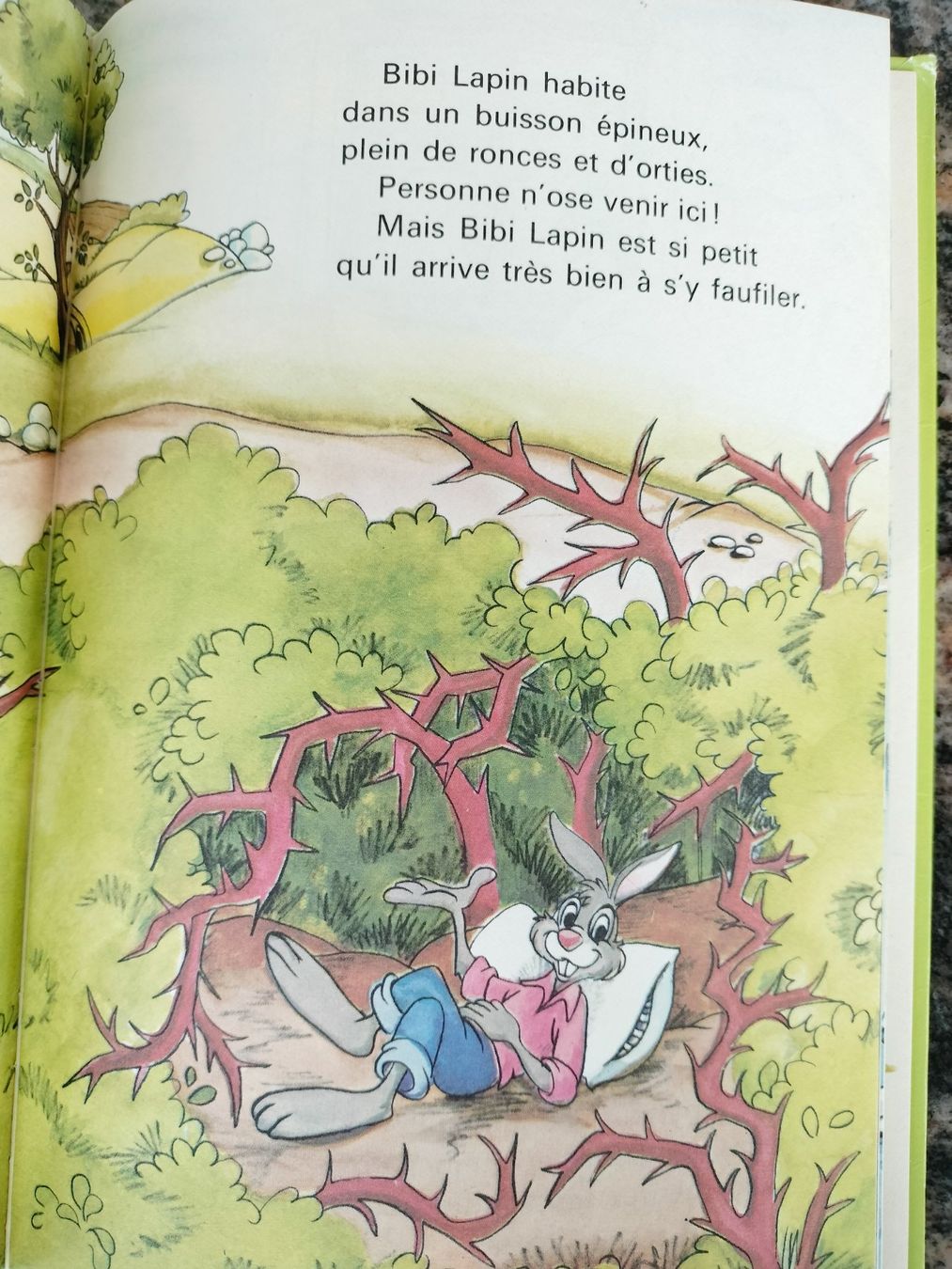 Libri: Bibi Lapin Et Ses Amis Disney (Studio) – Usato da Cortaillod venduto da rozinna 2