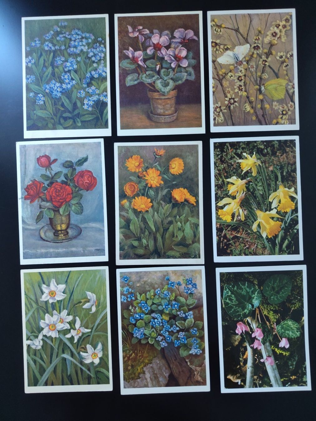 Cartoline postali: 9 Blumen Jean Zeltner ab ca. 1945 – Usato da Ohmstal venduto da Lebensfreude05