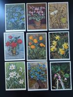 9 Blumen Jean Zeltner ab ca. 1945