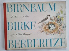 Bilderbuch BIRNBAUM - BIRKE - BERBERITZE Carigiet