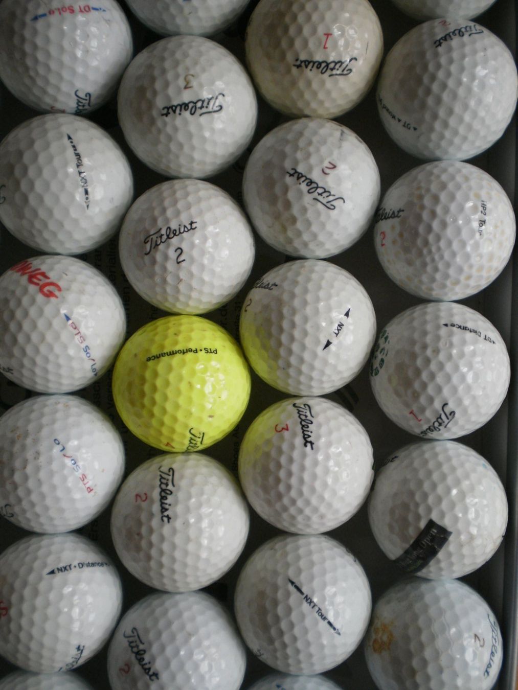 Palloni: 36 Golfbälle von TITLEiST – Usato da Givisiez venduto da Follieran 1