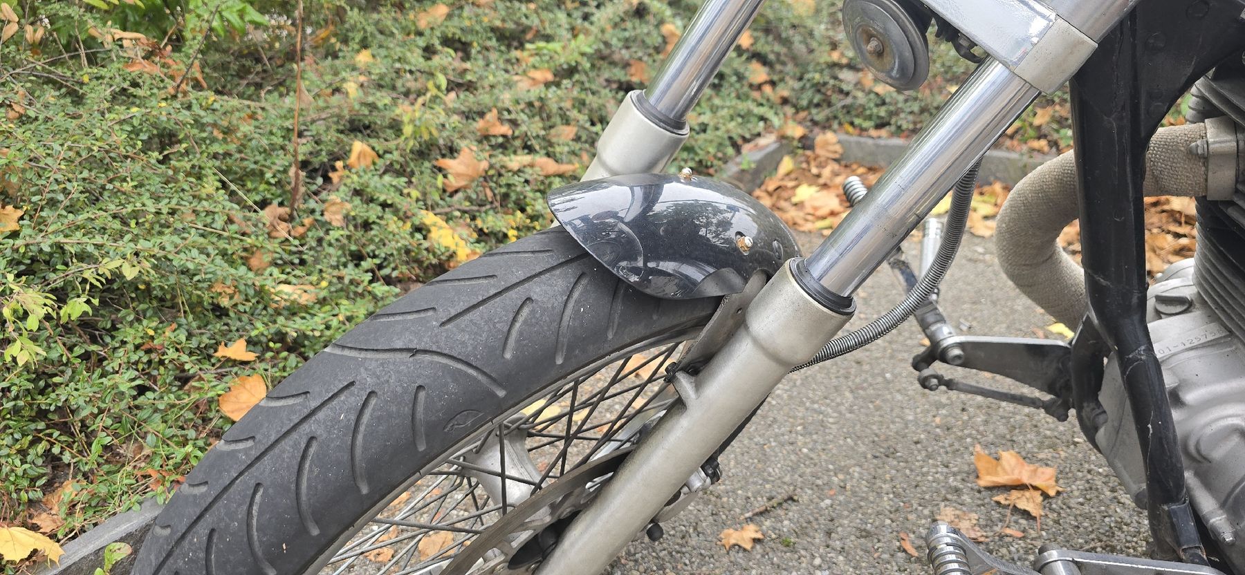 Suzuki Chopper: Suzuki LS650 Savage – Defekt aus Dachsen von Caddy94 4
